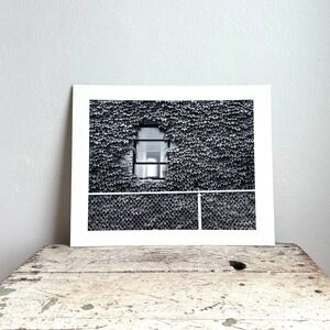 Black and White Ivy Window Photography Print Matted Wall Art 11x14 Urban Nature